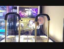 【DDR】DP初段【段位認定】