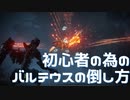 初心者の為のバルテウスの倒し方