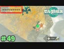飛び込みの儀で大事故　「ゼルダの伝説～ティアーズ・オブ・ザ・キングダム」　＃49