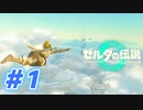 【実況】果てなき冒険は、大空へ広がる【ゼルダの伝説 ティアーズオブザキングダム】＃1