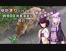 【VOICEROID】ゆかきりと行く！W800旅客漫遊記 第一次北海道編②【ゆっくり車載】