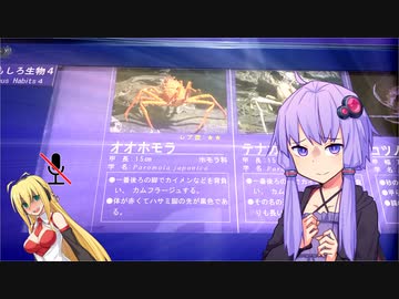 つべに投稿した総集編の冒頭に使ったやつだけ