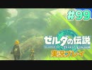 【実況】大空を翔る。ゼルダの伝説ティアーズオブザキングダム 実況プレイ！Part99【ゼルダの伝説TotK】