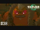 【ゼルダの伝説 Tears of the Kingdom】そのアゴ髭、似あってねーぞ！【実況】#38