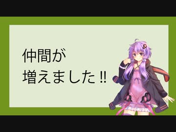 新しい仲間たちが増えました！