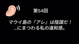 もう一次元上から考える...マウイ島火災。私が感じる違和感。