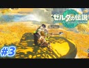 【実況】果てなき冒険は、大空へ広がる【ゼルダの伝説 ティアーズオブザキングダム】＃3