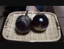 カモナスのしぎ焼き【長火鉢とおっさん322】