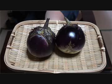 カモナスのしぎ焼き【長火鉢とおっさん322】