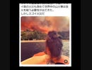 世界が燃え始めた ワクチン大虐殺に失敗したら世界を火の海にする キッシンジャーの予言