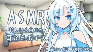 休日、雪さんに耳かきで癒やしてもらった【耳かき/ASMR】
