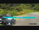 ツーリングguide No.15　都井岬