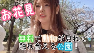 【Vlog】これが本当に無料！？この公園知ってる？【桜】