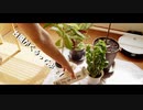 【第171回】日除と台風？と酢物？