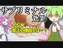 ずんだもん解説 日本人の大半が誤解している!?サブリミナル効果について