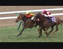 【競馬】2023ワールドオールスタージョッキーズ 第4戦【フェステスバント / A.バデル】