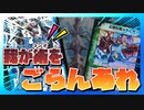 【デュエマ】美しすぎるコンボ！！カチュア＆ワーグナー、とっておきの秘術をご覧あれ！【対戦動画】