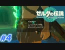 【実況】果てなき冒険は、大空へ広がる【ゼルダの伝説 ティアーズオブザキングダム】＃4
