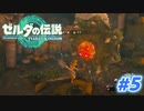 【実況】果てなき冒険は、大空へ広がる【ゼルダの伝説 ティアーズオブザキングダム】＃5