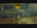 【ゼルダの伝説 ティアーズ オブ ザ キングダム】再びハイラルを救うまで【実況】 part95