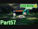 ルーイの目的は…？【PIKMIN4実況part57】