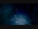 #1　ホラー好きOLの「廃病院探索」