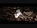夏が眠れば｜山出和仁
