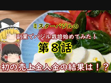 第８日目のミスターバジルの副業でバジル栽培始めてみた。