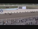 ３歳秋のＣＳ２０２３ サンケイスポーツ協賛 第27回黒潮菊花賞 ユメノホノオ