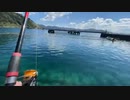 【七原くん★2023/08/26】第3回 野外学習！1 2/2【毎年恒例・夏の疑似沖縄旅行/夏休みソロキャンプ/長野労役前の休日/レンタカー/日本海福井/養殖フグ餌やり揉み/釣り堀/青の洞窟クルーズ】