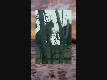 順番待ち