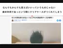 なんでもかんでも買えばいいっていうものじゃない　 廃材利用であっという間にクリアケースがつくれてしまう　　もう大葉を腐らせない！セリアの大葉保存ケースが便利！