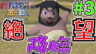 レンタル縛り＋ヘラクロス絶対選出でジムリーダーの城制覇する#3【ポケモンスタジアム金銀】