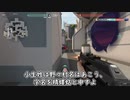 イーロンさん、Twitter（X）のブロック機能を無くそうとしているんだってぇ？【VALORANTキル集を添えて】