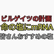 ビルゲイツの塩にmRNA入れる計画がヤバすぎる。ワクチン解毒したけりゃ塩なめろ！健康猛者たちのおすすめの塩