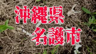 【怪談】沖縄県名護市であった怖い話【朗読】