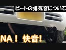 【快音】ホンダビートのマフラー音について喋るだけの動画【外部マイク使用】
