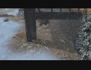 [7DTD] ナイトメア常走インセイン動物園5 [α21.1]