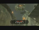 【実況】ハイラルソードTK　その29