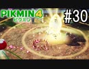 PIKMIN4-ピクミン- 実況プレイ #30