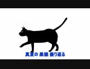 R&R BLOODS feat.AIきりたん 『真夏の黒猫』【NEUTRINOオリジナル曲】