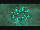 【ティアキンだけは】part.51【実況させて】
