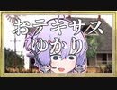 【テキサスチェンソー】おテキサスゆかり【VOICEROID実況】