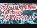 【注意】最新コロナ変異株BA.2.86の様子がかなりおかしい？！