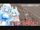 2023年8月28日　農作業日誌P735　雨も降らないからいろいろな作業をしながら種まきもしていたよ