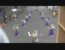 原宿表参道元氣祭 スーパーよさこい　てんしゃばフェスタ踊り子隊　あんちゅうだんべえちっとんべえな　ＮＨＫ前ストリート　(2，3ループ目)