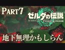地下無理かもしらん【ゼルダの伝説 ティアーズオブザキングダム】Part7