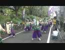 原宿表参道元氣祭 スーパーよさこい　てんしゃばフェスタ踊り子隊　あんちゅうだんべえちっとんべえな　代々木の杜盆踊り会場