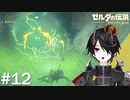だめかも[ゼルダの伝説 ブレスオブザワイルド]＃１２