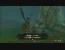 【ゼルダの伝説 ティアーズ オブ ザ キングダム】再びハイラルを救うまで【実況】 part97